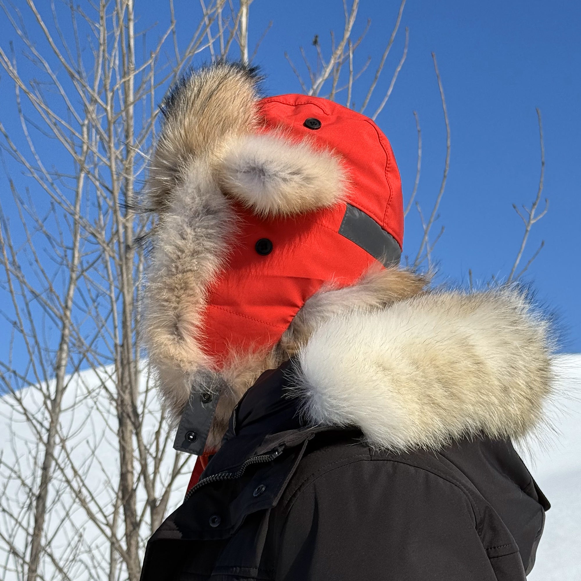 Coyote Bomber